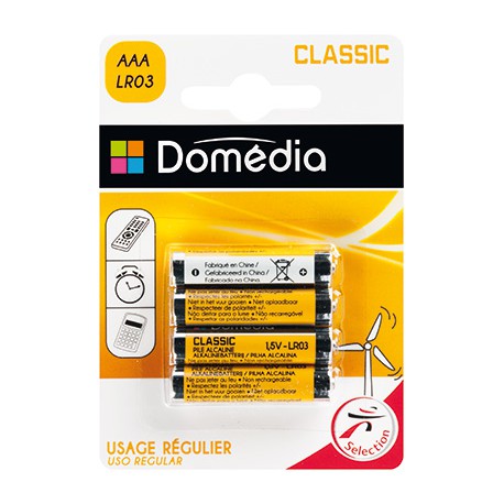 Domédia - Piles alcalines Classic LR03-AAA 1,5V