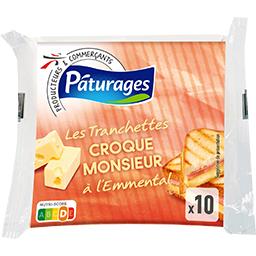 Fromage tranches croqmonsieur