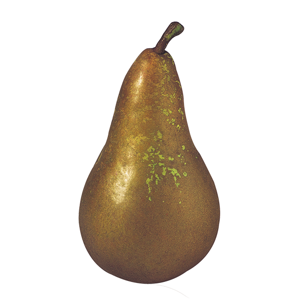 Barquette poire conférence 1kg