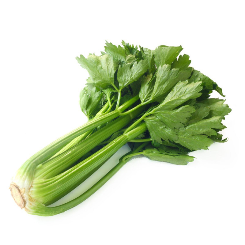 Celeri botte MARTINIQUE