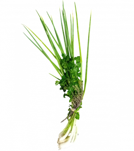 Bouquet garni MARTINIQUE