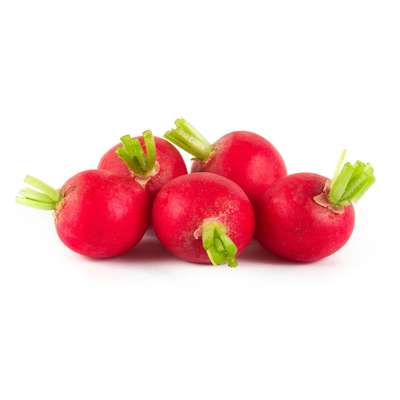 Radis rouges 500g / HOLLANDE