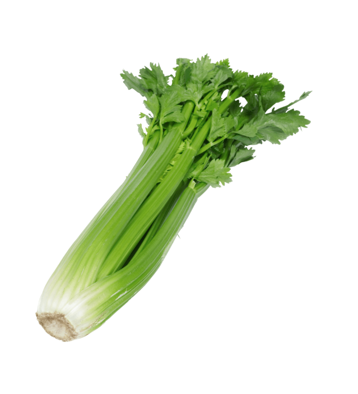 Céleri branche