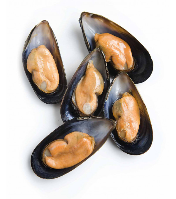 Moules demi-coquille 80/100