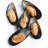 Moules demi-coquille 80/100