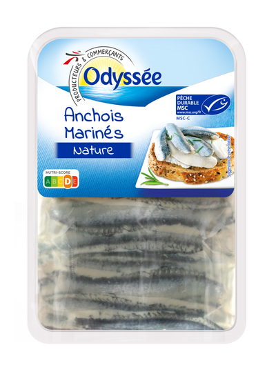 Odyssée - Anchois marinés nature