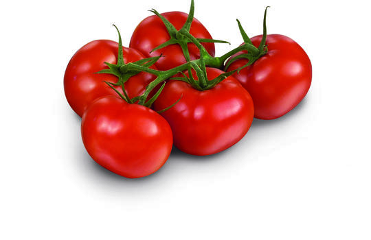 Tomate Grappe - BELGIQUE