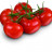 Tomate Grappe - BELGIQUE