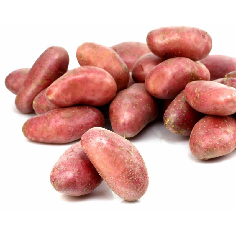 Pommes de terre rouges / FRANCE